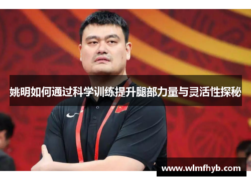 姚明如何通过科学训练提升腿部力量与灵活性探秘