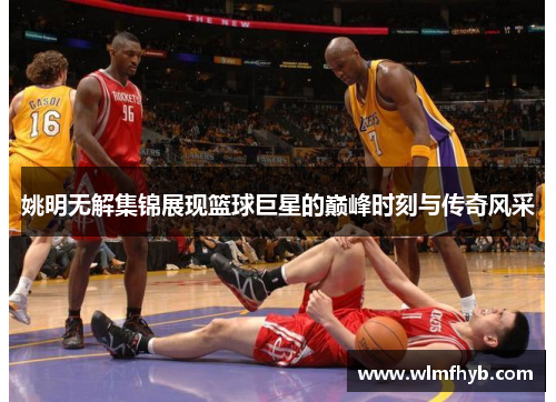 姚明无解集锦展现篮球巨星的巅峰时刻与传奇风采